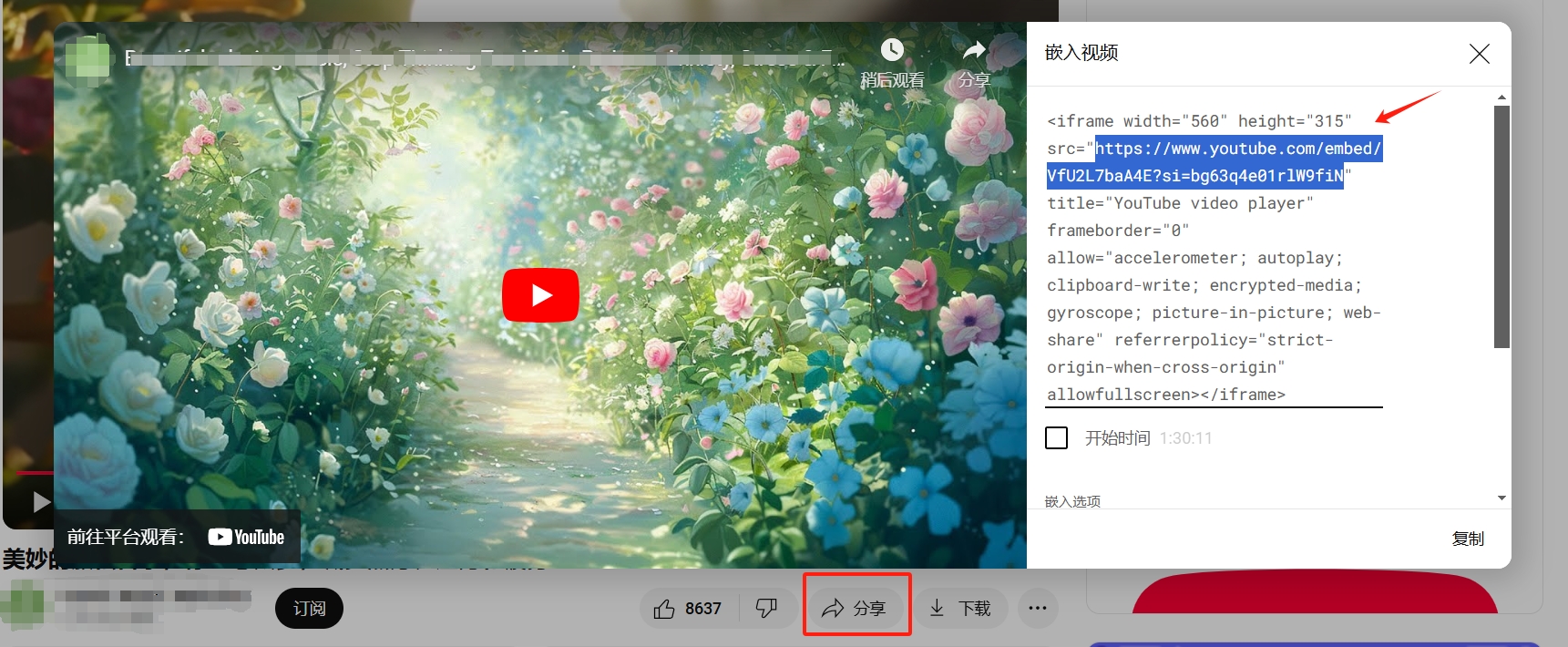 src的值